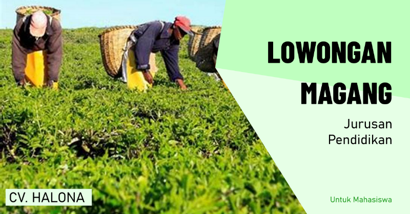 You are currently viewing Pendaftaran Magang Jurusan Manajemen Agribisnis