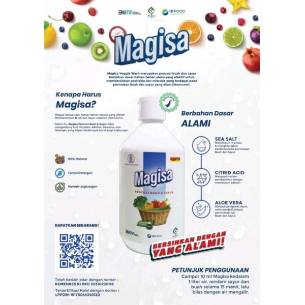 MAGISA-Pencuci-buah-dan-Sayur-milik-PT-GARAM-BUMN-2.jpeg
